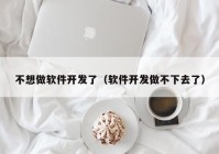 不想做软件开发了（软件开发做不下去了）