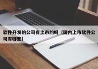 软件开发的公司有上市的吗（国内上市软件公司有哪些）