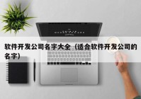 软件开发公司名字大全（适合软件开发公司的名字）