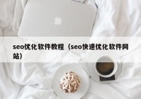 seo优化软件教程（seo快速优化软件网站）