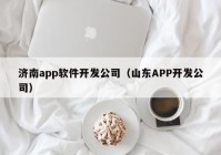 济南app软件开发公司（山东APP开发公司）