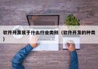 软件开发属于什么行业类别（软件开发的种类）