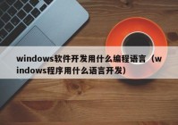windows软件开发用什么编程语言（windows程序用什么语言开发）