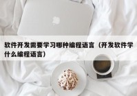 软件开发需要学习哪种编程语言（开发软件学什么编程语言）